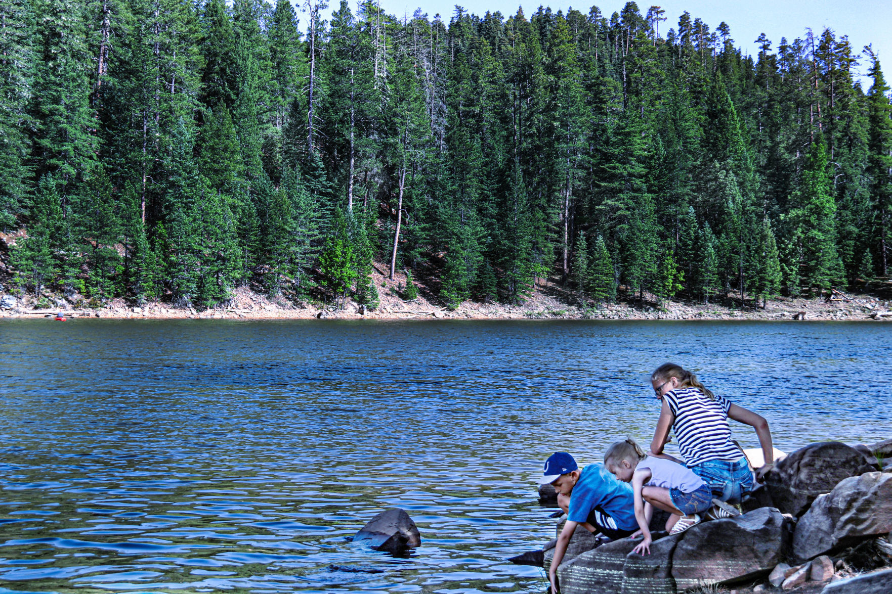 Knoll Lake Mogollon Rim camping